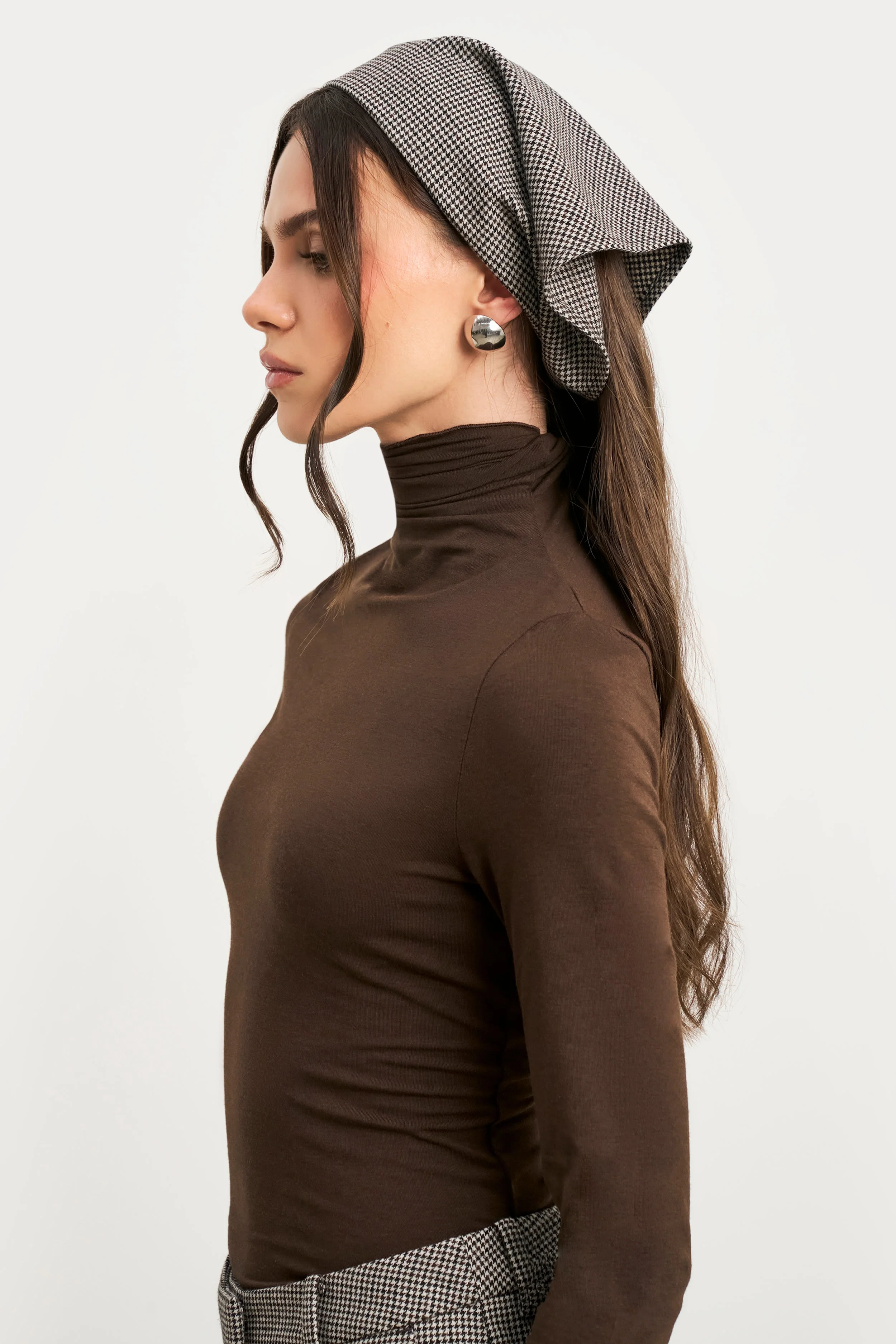 Semi Sheer High Neck Longsleeve Top -  Carob - Image 5